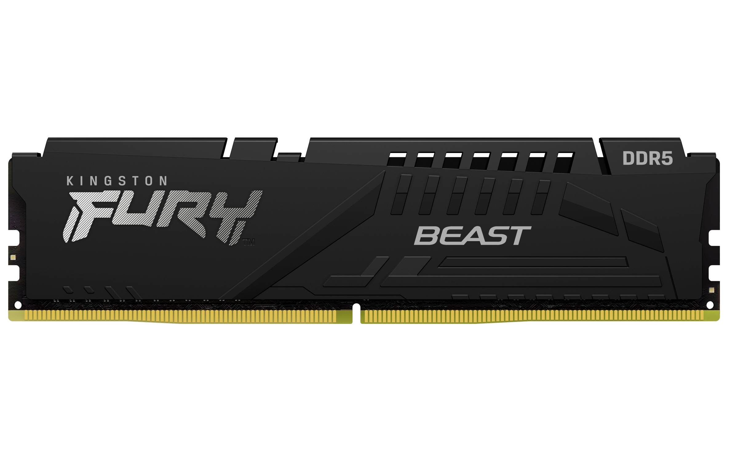 Memorias RAM Kingston Technology FURY BEAST